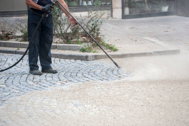 Animal Enclosure Cleaning in Duboistown, PA